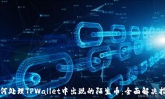   如何处理TPWallet中出现的