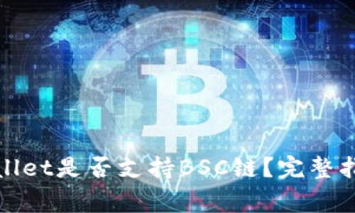 bianzi电脑版TPWallet是否支持BSC链？完整指南与常见问题解答