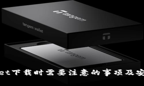tpwallet下载时需要注意的事项及安全指南