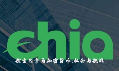 探索巴拿马加密货币：机会与挑战