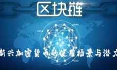 破解新兴加密货币的使用
