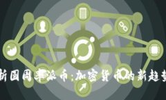 深入解析圆周率派币：加