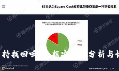  tpwallet支持找回吗？数据安全性分析与恢复方法详解