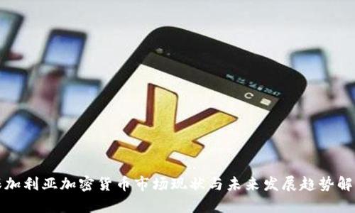 保加利亚加密货币市场现状与未来发展趋势解析
