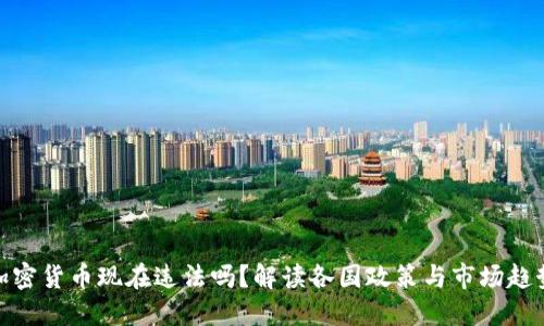 加密货币现在违法吗？解读各国政策与市场趋势