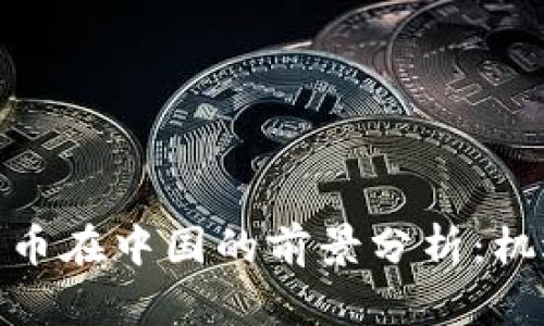 : 加密货币在中国的前景分析：机遇与挑战