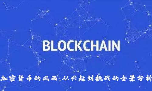 加密货币的风雨：从兴起到挑战的全景分析